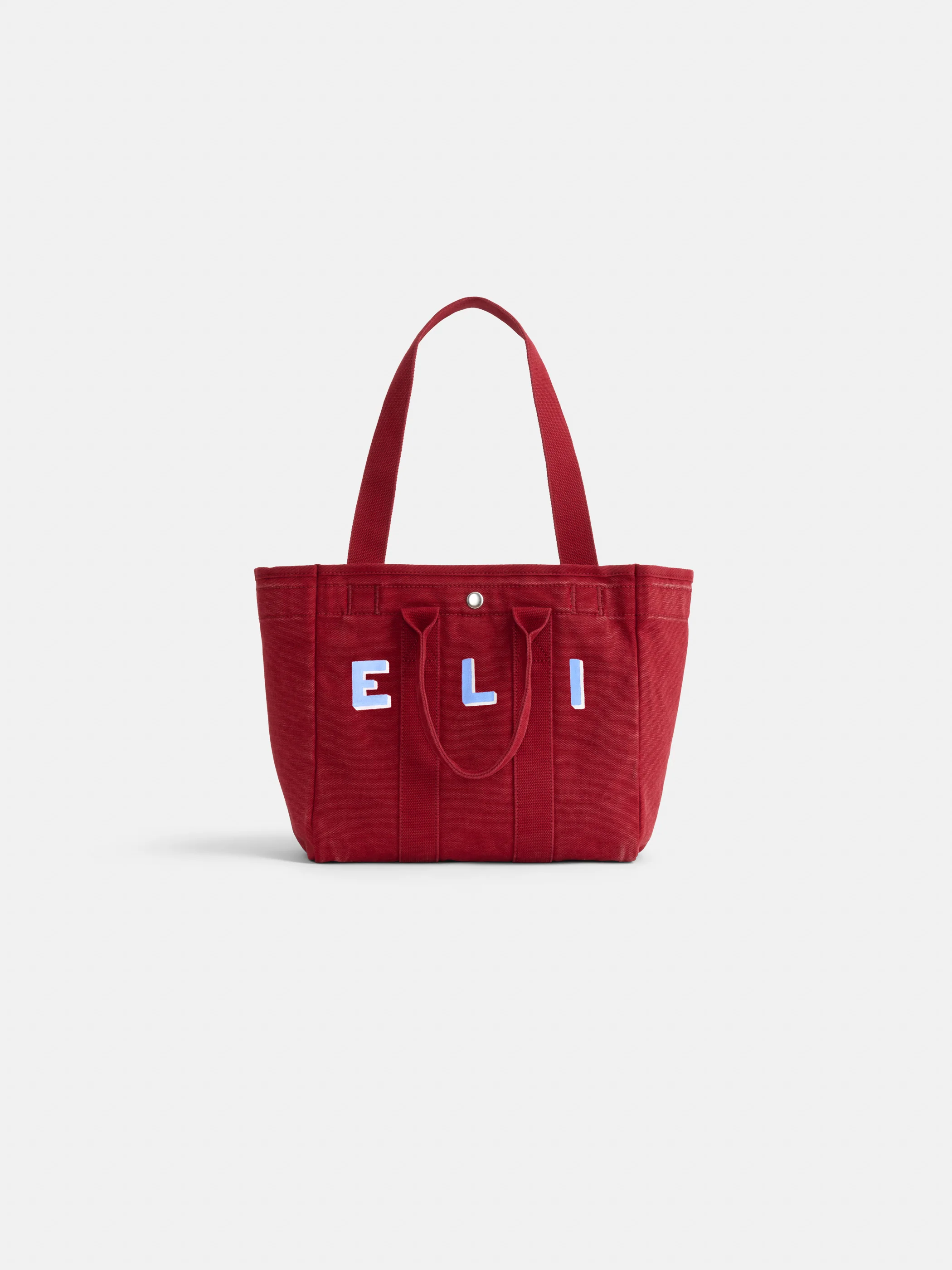 Painted Perfect Daily Tote